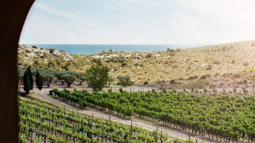 Premier french wine Tour sea