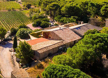 Premier french wine Tour chateau Le Bouis